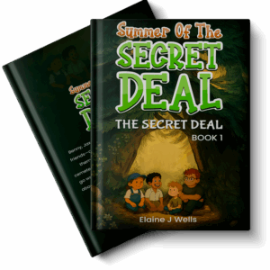 Summer Of The Secret Deal (Paperback)